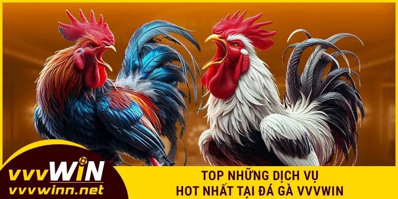 Top những dịch vụ hot nhất tại đá gà VVVWIN