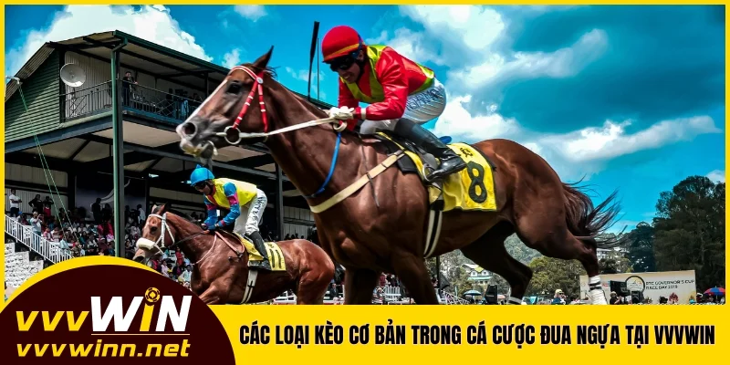 Các loại kèo cơ bản trong cá cược đua ngựa tại VVVWIN Các loại kèo cơ bản trong cá cược đua ngựa tại VVVWIN