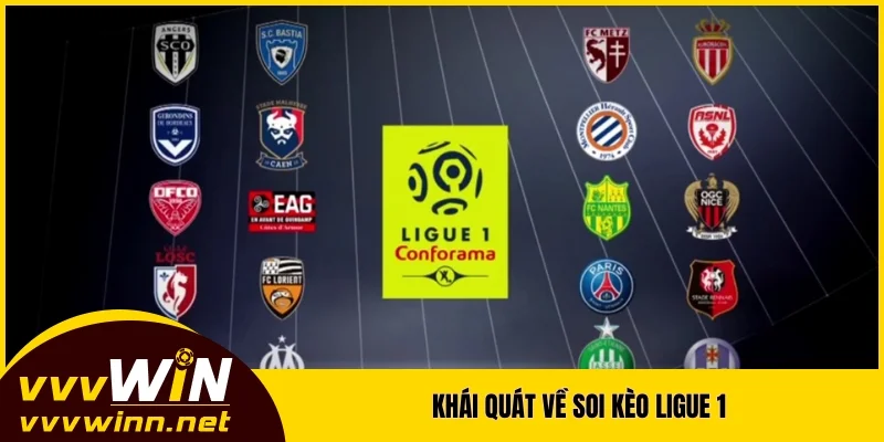 Khái quát về soi kèo Ligue 1 Khái quát về soi kèo Ligue 1