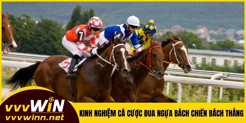 Kinh nghiệm cá cược đua ngựa bách chiến bách thắng Kinh nghiệm cá cược đua ngựa bách chiến bách thắng