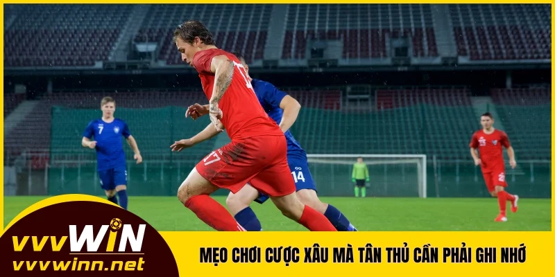 Mẹo chơi cược xâu mà tân thủ cần phải ghi nhớ Mẹo chơi cược xâu mà tân thủ cần phải ghi nhớ