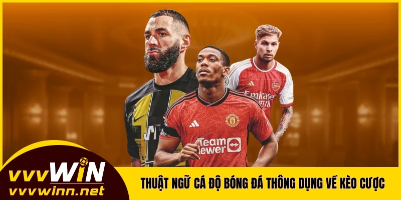 Thuật ngữ cá độ bóng đá thông dụng về kèo cược Thuật ngữ cá độ bóng đá thông dụng về kèo cược
