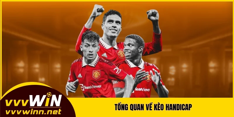 Tổng quan về kèo Handicap Tổng quan về kèo Handicap