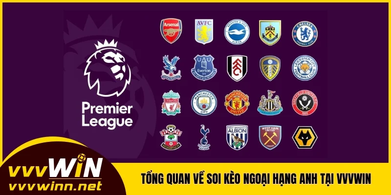 Tổng quan về soi kèo Ngoại hạng Anh tại VVVWIN Tổng quan về soi kèo Ngoại hạng Anh tại VVVWIN