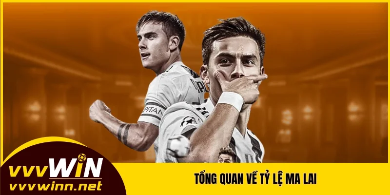 Tổng quan về tỷ lệ Ma Lai Tổng quan về tỷ lệ Ma Lai
