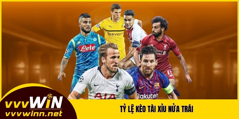 Tỷ lệ kèo tài xỉu nửa trái Tỷ lệ kèo tài xỉu nửa trái